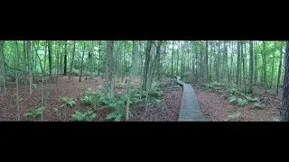 Jesse Kudler multi-channel sound installation at Whitesbog, the Pine Barrens, NJ