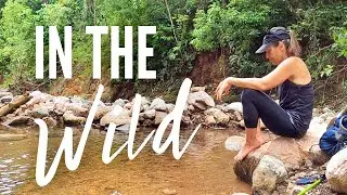 A PLANT LOVER EXPLORES THE JUNGLES OF COSTA RICA