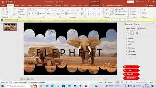 A stylish and dynamic curve design that adds flow, balance, and creativity to your presentation.