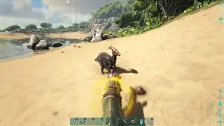 Ark yuti roar mate boosted bary