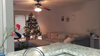 Tour pelo meu apartamento nos USA