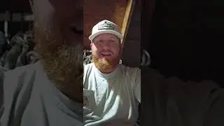 Tips and tricks for successful turkey hunting part 2  5/30/25