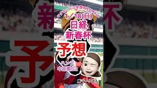 2026/01/18 日経新春杯予想　ハンデ戦　本命は　ゲルチュタール　マグネット競馬予想　UMAJO