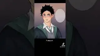 Harry PotterXHaikyuu Mirror of erised Part 2 #iwaoi #haikyuu #oikawa #iwaizumi #haikyuucomic #tiktok
