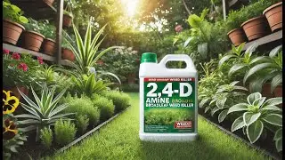 🌱 Gordon's Amine 400 2,4-D Weed Killer, 1 Gallon | Best 2 4 D Amine Broadleaf Weed Killer 🌱