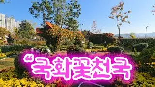“마산가고파국화축제｜가을빛 물든 국화꽃 향연 속으로”