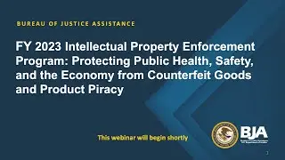 FY 2023 Intellectual Property Enforcement Program