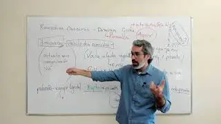 Aula de Rem&eacute;dios Caseiros - Dravya Guna