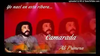 Camarada - Alí Primera.