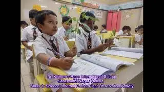 Class 1: Science: Internal Probe: Plant Observation Activity