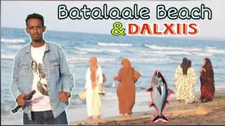 Waxan Booqday Batalaale Beach In Berbera | Dhalinyaro Aan Waligood Kalluun Arag.