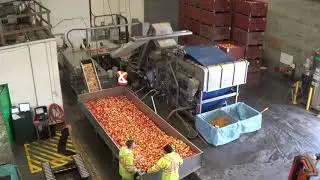 Scaling Up the Commercial Cider Operation with BC Tree Fruits