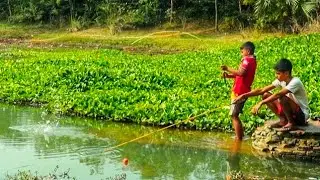 Best Hook Fishing 2024 ✅||Traditional Two Boy Hunting Big Fish From Beautiful Lotus Pond #fish_video
