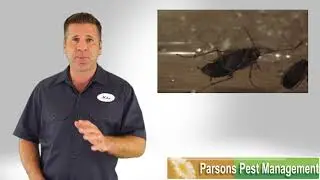Parsons Pest Management
