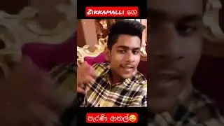 #short | @ZikkAmalliගෙ පැරණි Tiktok ආතල්😂