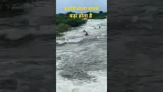 बचाने वाला भगवान श्री राम #pachwara_king #vishnumeenapiplipatalwas #pachwaraking  @Pachwaraking