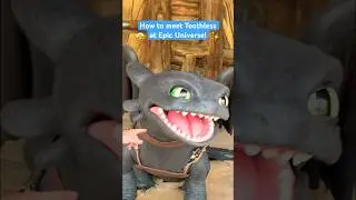 How to meet Toothless at Epic Universe! 🤩  #toothless #epicuniverse #howtotrainyourdragon