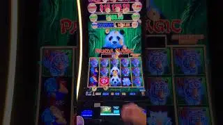 Dragon Link MONSTER Hit on Panda Magic!!!