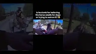 Man Believes Horse Sniffs Drugs: Police Intervention and the Outcome #police #shorts #bodycam