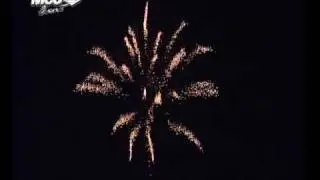 goldpalme.flv