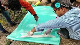 Pilot Project: Composite Repair of Leaking Pipe at JUSCO, Jamshedpur