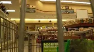 Shopping with webfox100