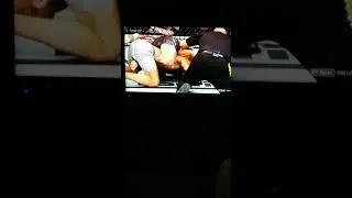 UFC's 239