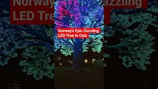 Epic Light Show at Oslo Treet #indianabroad #norwaytravel #oslo #familyvlog #bengali #travel #norway