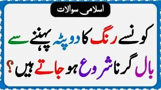 Islamic Common Sense Paheliyan in Urdu | Riddles in Hindi | Islamic General Knowledge Quiz Test #282