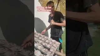 Cek Ikan Nila Asin yang dikeringkan #ikan #ikannila #ikanasin #shorts