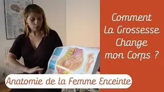 Pourquoi des Fuites Urinaires pendant la Grossesse? - Anatomie de la Femme Enceinte