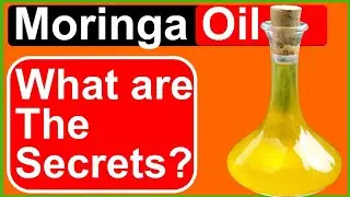 Moringa Oil: Uses And Benefits You Need To Know