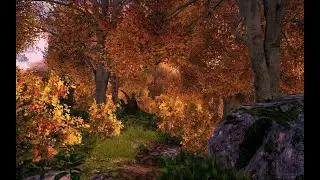 ASMR Walking Sim Boreal Forest in Autumn | Arma 3