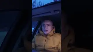 Politicke svine
