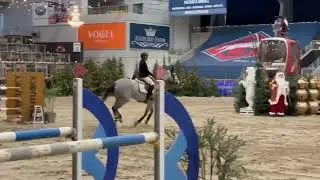 Tweedledee DL CSIYH 5/6 yo Final Opglabbeek 