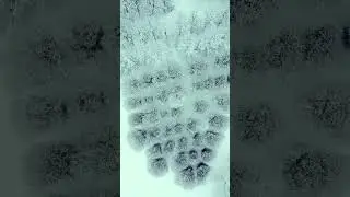 Маша и Медведи - Земля (2025 Remix)