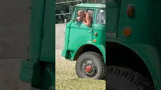&Scaron;KODA LIAZ 706 AGRO [ Vykl&aacute;dka na sil&aacute;žnej j&aacute;me ]
