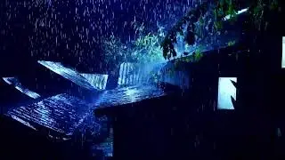 Beat Insomnia to Sleep Well with Torrential Rain, Insect Sounds and Rolling Thunder on a Metal Roof
