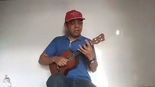 Voy buscando una lady 👩 #musica #videosviral #cover 