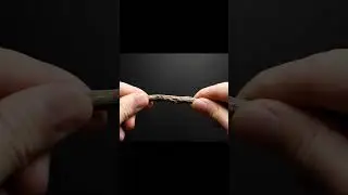 ASMR Snap #14 &ndash; Breaking Dry Twig in 4K | Satisfying Sound | No Talking