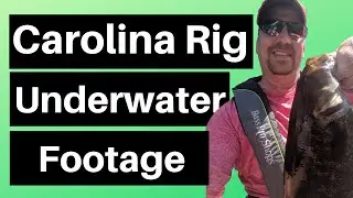 Carolina Rig Part 2 - Underwater Footage