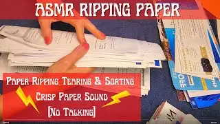 🌟Ripping and Tearing Paper ASMR No Talking 🌟 Paper Sorting - Crinkly & Crisp Sounds 🌟