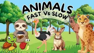 🐆🐌Fast and Slow Animals | Animals for Kids | Wild Animals | Toddlers Educational Video | Kids Video