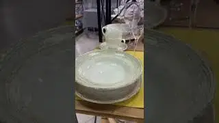 Комплект посуды PATERA на 6 персон, 24 предмета