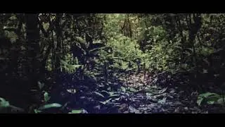 Earth Element Mantra Meditation Music