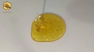 Seputar Madu Randu At-Tiin,Viral madu asli& murni di Jember, lebah Apis Mellifera