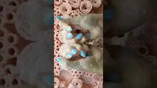 #asmr  #asmrsoap #soapasme #crunchysoap #asmrvideo #shorts
