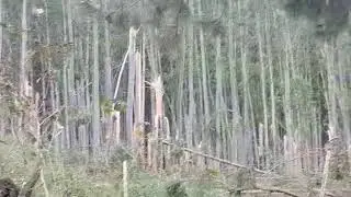 Fuerte tormenta en Juan Pujol y su zona rural
