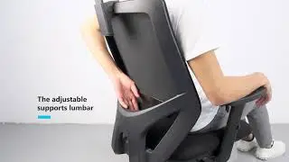 Tribesigns T18 Office Chair Features Usage