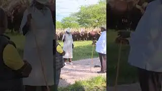 #president Museveni, First Lady at Kisozi farm. #shorts